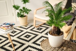 Using Sustainable Materials to Decorate Your Home