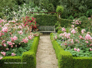 Great Ideas For Garden Design