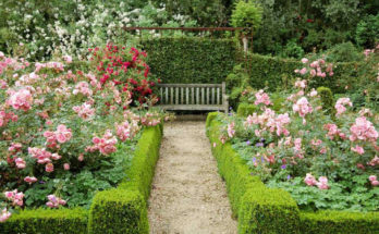 Great Ideas For Garden Design