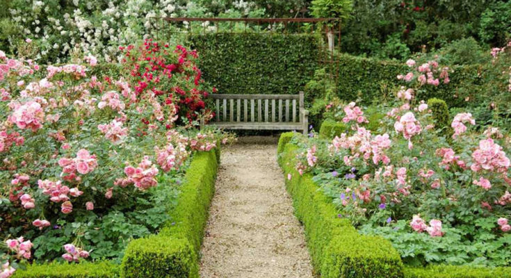Great Ideas For Garden Design