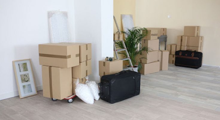 Things To Take Care of When You Move