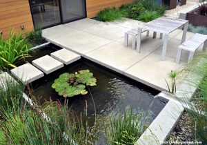 3 Key Tips for Creating Your Own Pond
