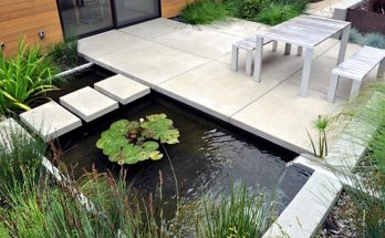 3 Key Tips for Creating Your Own Pond