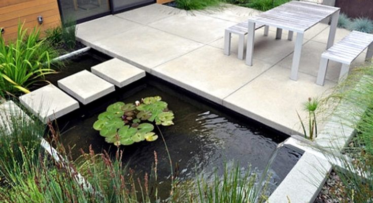 3 Key Tips for Creating Your Own Pond