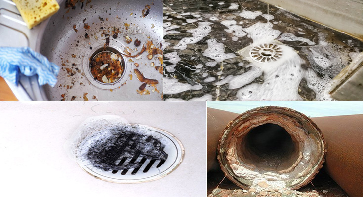 What are the Causes of Blocked Drains and How to Fix Them