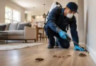 Pest Prevention Strategies for St. Louis Homes: Keeping Your Space Safe and Healthy